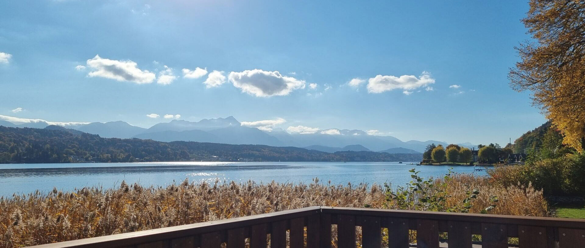Panoramablick auf ruhigen Alpensee mit Schilf im Vordergrund und Holzterrasse.